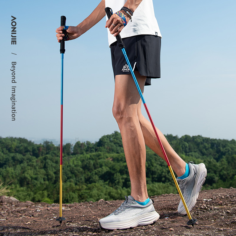 2 個 AONIJIE 折りたたみ式アウトドアクイックロック - Trekking Pole Carbon のレビューと価格